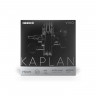 D'addario KV310 4/4M Kaplan Vivo Струни для скрипки
