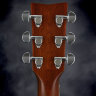 Електро-акустична гітара Yamaha FGX820C NT