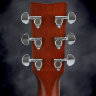 Електро-акустична гітара Yamaha FGX830C NT