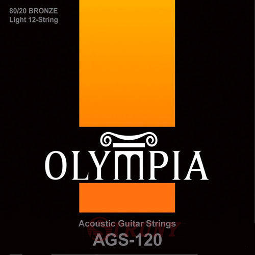 Olympia AGS-120 80/20 Bronze Acoustic Guitar 12 Strings 10/47