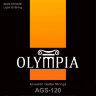Olympia AGS-120 80/20 Bronze Acoustic Guitar 12 Strings 10/47