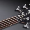 Бас-гітара Warwick Teambuilt Pro Series Streamer LX, 5-String (Natural Transparent Satin)