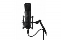 WARM AUDIO WA-87 R2B Студійний конденсаторний мікрофон