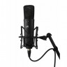 WARM AUDIO WA-87 R2B Студійний конденсаторний мікрофон