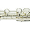 Maxtone TFC-51/SEO Флейта