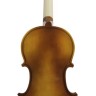 Avzhezh AV44B Archaic Скрипка 4/4