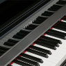 Kurzweil CUP1 BP Цифрове піаніно