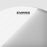 Evans TT12GR 12