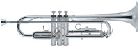 J.Michael TR-300SA (S) Trumpet Труба