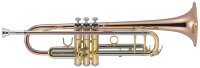 J.Michael TR-450 (S) Trumpet Труба