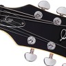Електрогітара Schecter Shaun Morgan Signature 3TSB
