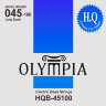 Olympia HQB-45100 Nickel Wound Long Scale Electric Bass Strings 45/100