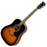 Акустична гітара SX MD180/VS