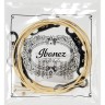 IBANEZ IACS6C ACOUSTIC GUITAR STRING 12-53 BRONZE COATED