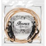IBANEZ IACSP6C ACOUSTIC GUITAR STRING 12-53 PHOSPHOR BRONZE COATED IBANEZ IACSP6C ACOUSTIC GUITAR STRING 12-53 PHOSPHOR BRONZE COATED