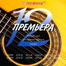 Emuzin 12П-01 Steel Acoustic Guitar 12 Strings 9/39