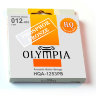 Olympia HQA-1253PB Phosphor Bronze Acoustic Guitar Strings Light 12/53