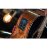 Електро-акустична гітара Washburn VITE S9V