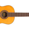 Класична гітара Valencia VC604 (размер 4/4)