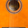 Класична гітара Valencia VC104 (размер 4/4)