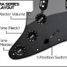 EMG RA2-Black Пикгард панель со звукоснимателями