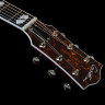 Електро-акустична гітара Godin 047925 Metropolis LTD Natural HG EQ With TRIC