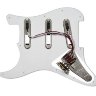 EMG RA2-White Пикгард панель со звукоснимателями