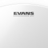 Evans B10UV1 10